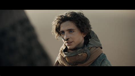 dune part two torrent|Dune: Part Two Leaks Early on Pirate Sites ‘In Memory of EVO’.